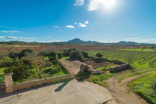 Villa Son Cifre