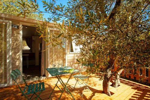 Camping L'olivier Junas