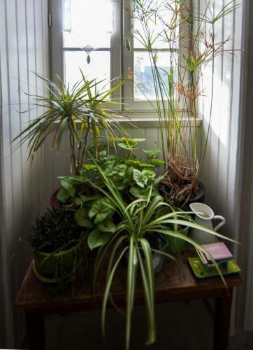 Hotel Au Fin Gourmet