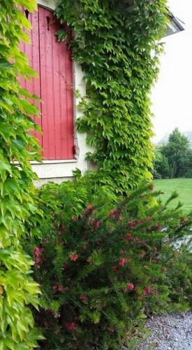 Bed & Breakfast La Clef Du Bonheur