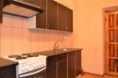 Albergue Mini-hotel Dvorets Ukrainy
