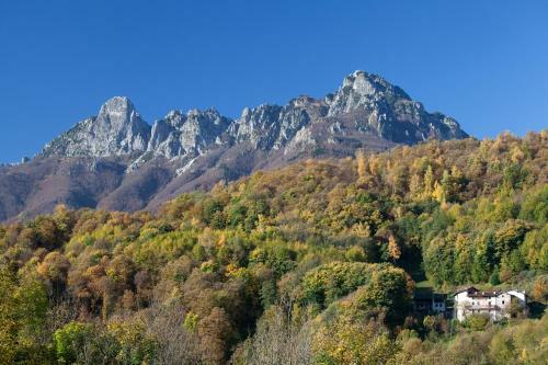 Bed & Breakfast L'angolo Di Paradiso