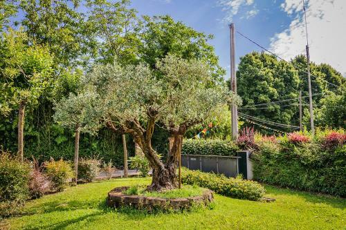 Agroturismo Villa Serena