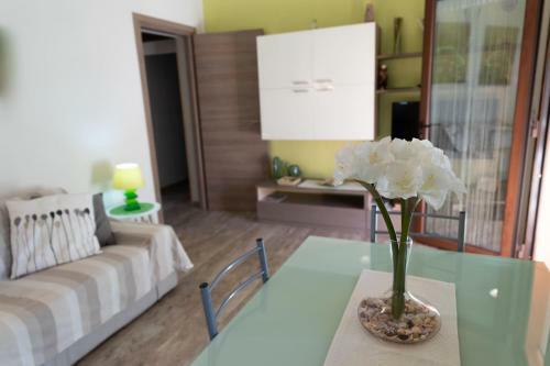Apartamento Appartamento Camisa