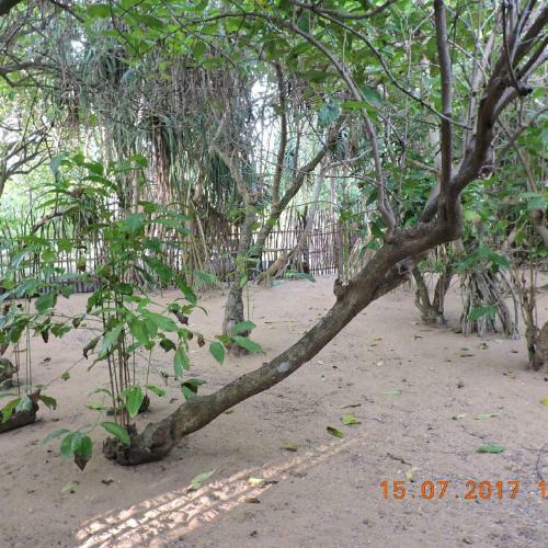 Akain Holiday Home