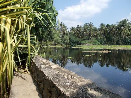 Sri Beach Bungalows And Villa