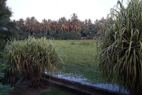 Sri Beach Bungalows And Villa