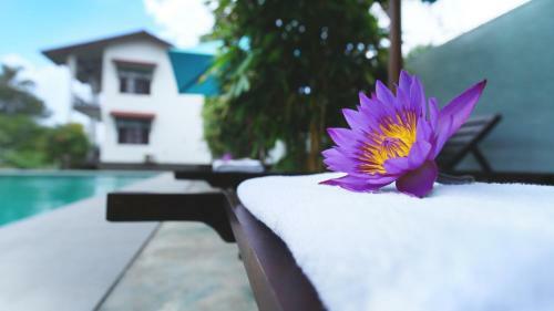 Hotel Kaminrich Cottage