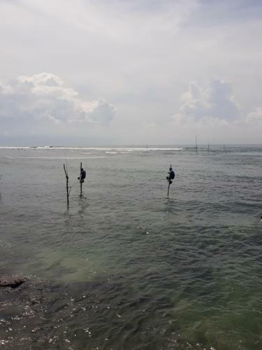 Hotel Polhena Coral Reef Resort