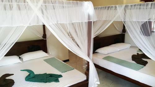 Hostal Splendid Lodge