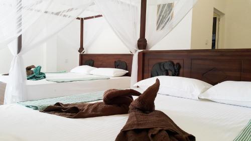 Hostal Splendid Lodge