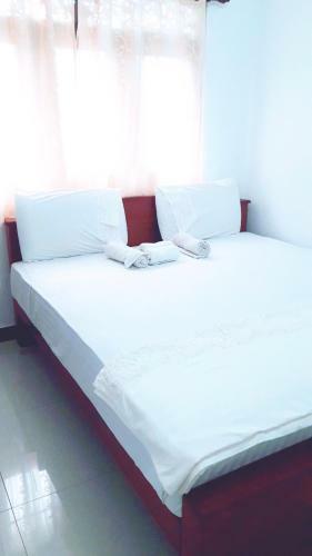 Hostal Foot Parth Camellia Guest House
