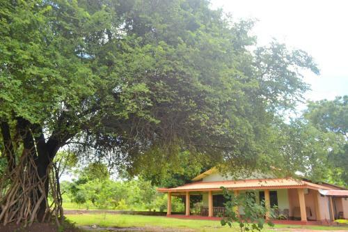 Hostal Wilpattu Dilsara Holiday Resort