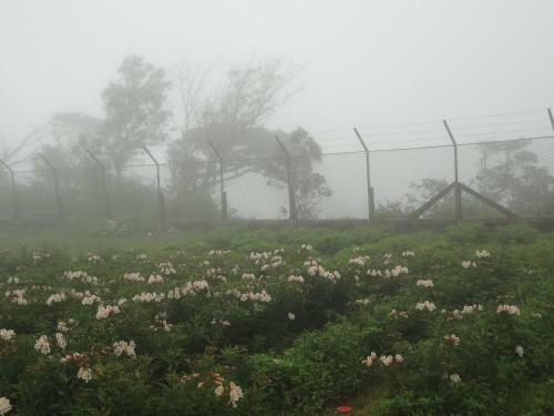 Villa Sky Breeze Nuwara Eliya, Sri Lanka