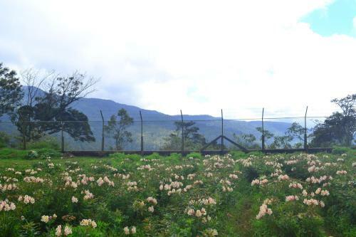 Villa Sky Breeze Nuwara Eliya, Sri Lanka