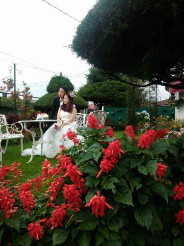 Hostal Nuwara Eliya Rosedale Bunglow