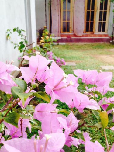 Manik Home Stay