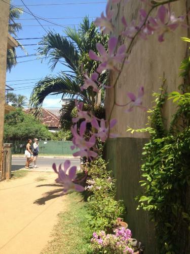 Manik Home Stay