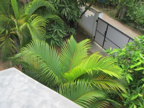 Bay Reach Home Stay