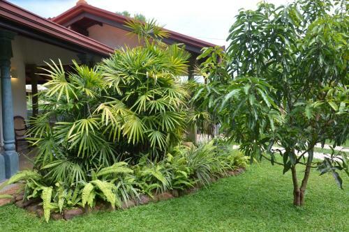 Bed & Breakfast Bloomsbury Holiday Resort