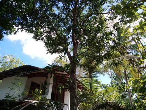 Sigiri Tarushan Home Stay