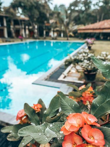 Hotel Talalla Retreat