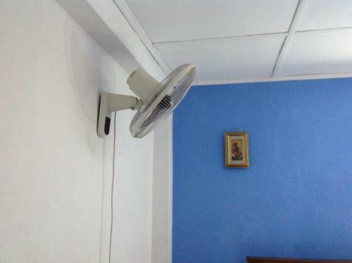 Saman Homestay