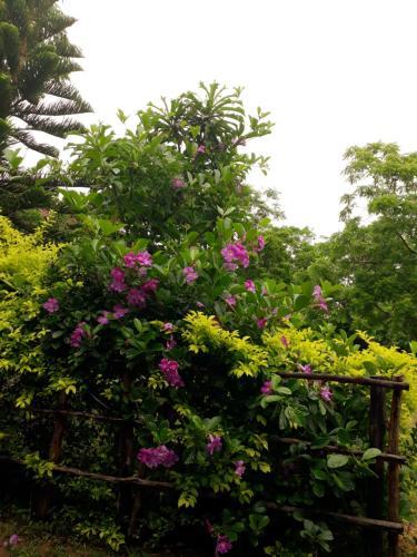 Hostal Eagles Nest Cabanas