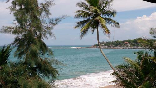 Hostal Gayana Guest House