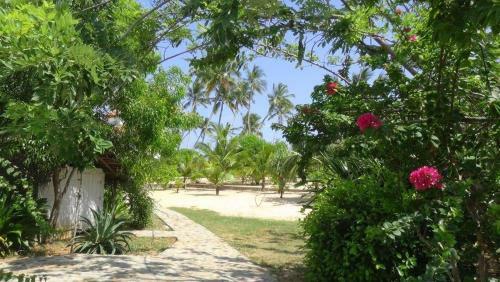 Tropical Garden