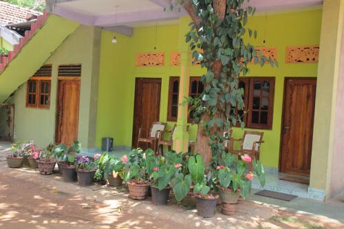 Hostal Elephants Fence Guest & Safari Services