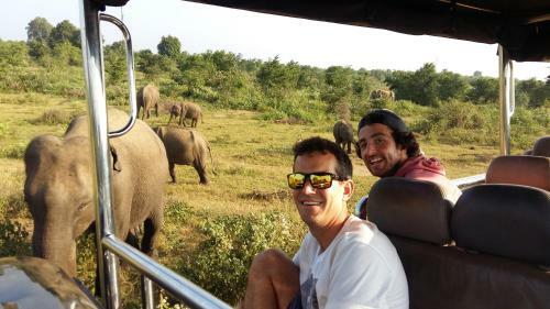 Hostal Elephants Fence Guest & Safari Services