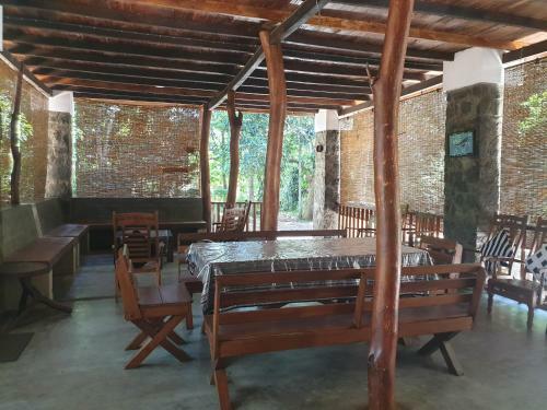 Jungle House