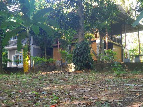Jungle House
