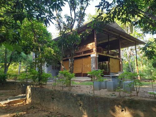 Jungle House