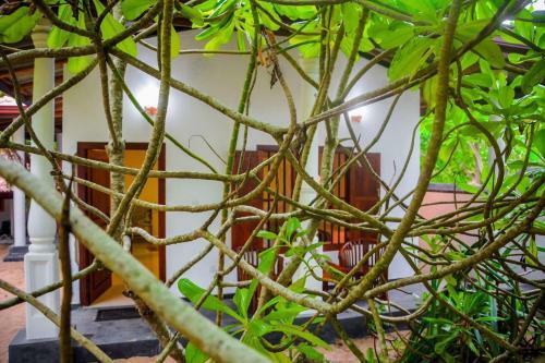 Hotel Shehani Beach Bungalow