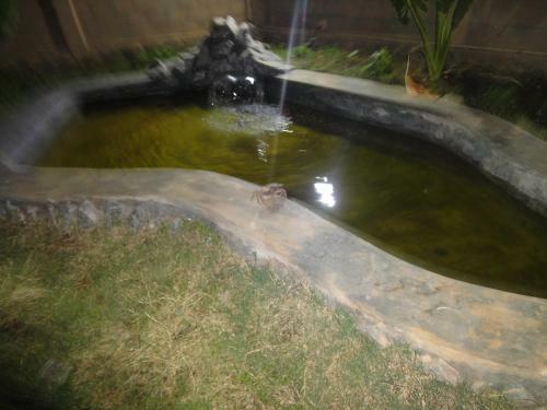 Hostal Nature Inn Guest House And Restaurant