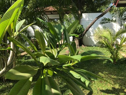 Bed & Breakfast Yala Golden Park