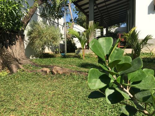 Bed & Breakfast Yala Golden Park