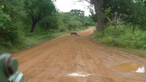 Hotel 4 U