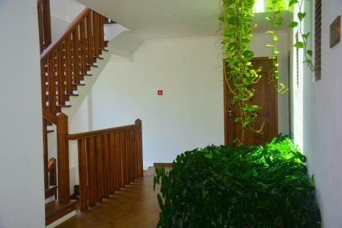 Sayura Beach Hotel