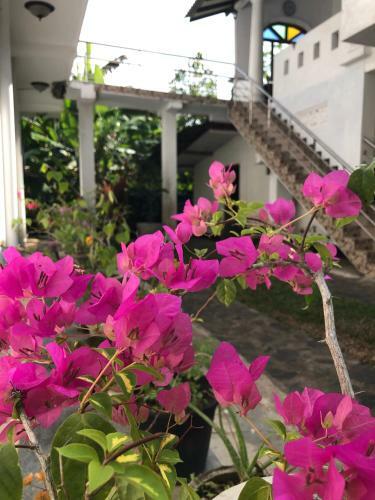Hostal Tiny Royal Palace