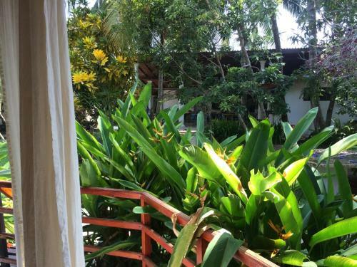 Hotel Paradise Garden