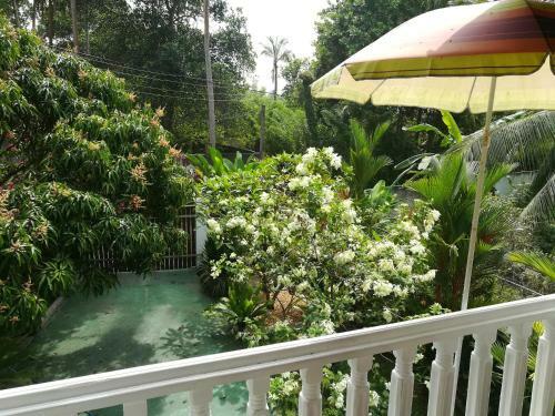 Apartamentos White Villa