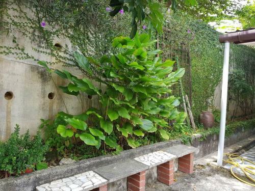 Homestay Kampung Selamat