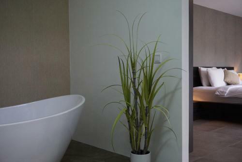 Hostal 14 Palms