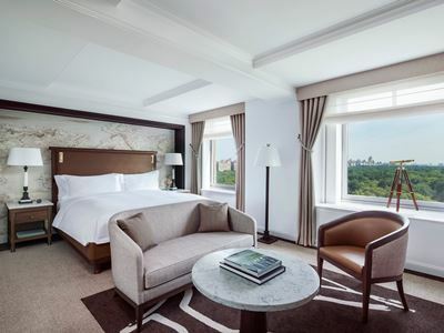 Hotel Ritz-carlton New York Central Park