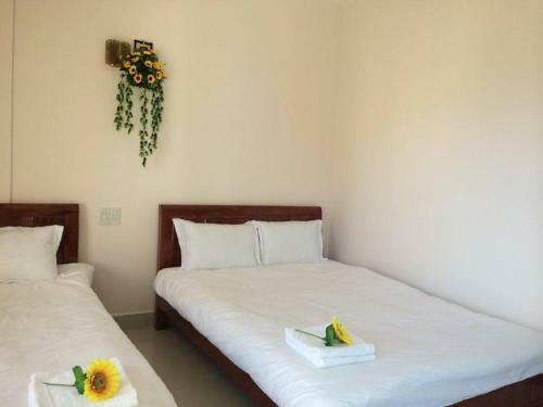 Nguyen Minh Hostel