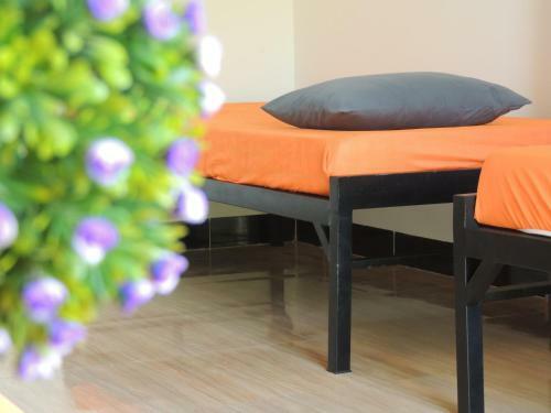 Little Leo Homestay And Hostel