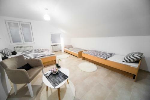 Hostel Hertz